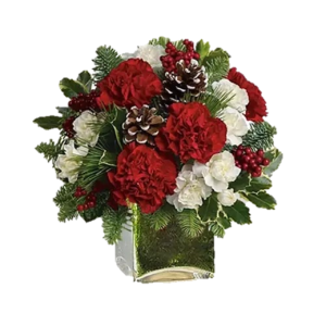 ARREGLO NAVIDEÑO DE PROMOCION